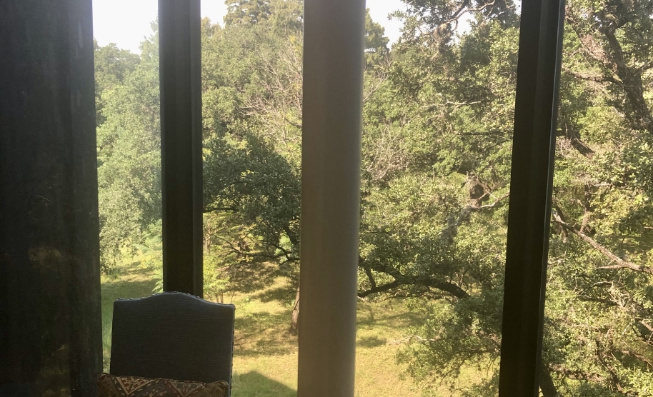 View of nature from dental treatment room