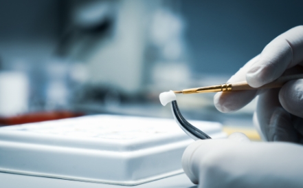 Lab technician crating dental crowns